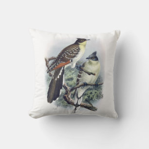 Great Spotted Cuckoo Bird Pillow