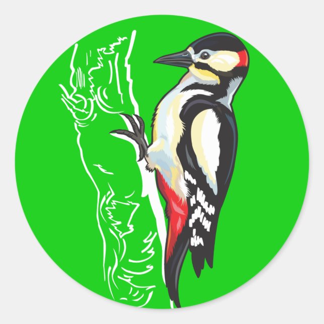 great spotted woodpecker classic round sticker (Front)