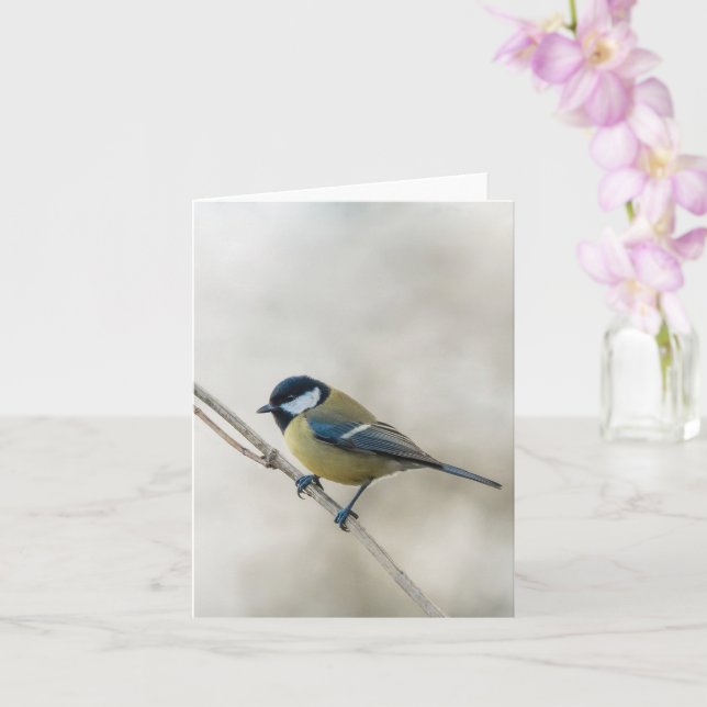 Great tit bird, minimalist winter nature card (Orchid)