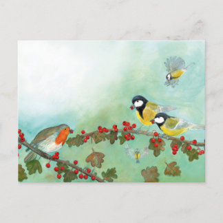 Great Tit Birds, Red Robin & Hawthorn Berries Holiday Postcard