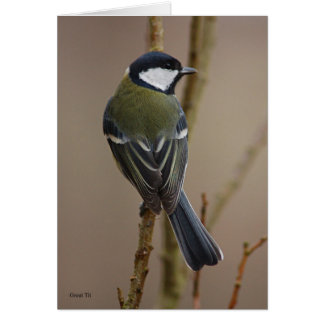 Great Tit card