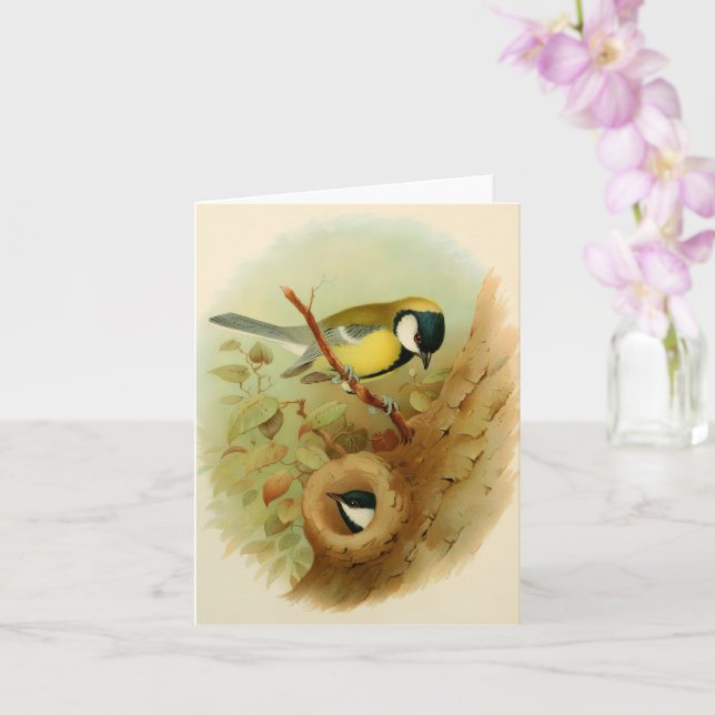 Great tit- Colourful bird, Art Card (Orchid)