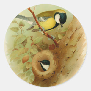 Great tit- Colourful bird, Art Classic Round Sticker