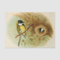 Great tit- Colourful bird, Art