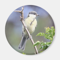 Great tit magnet