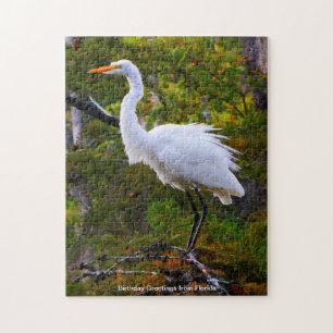 Great White Egret Florida Jigsaw Puzzle