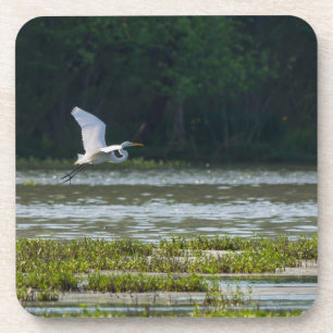 Great White Egret Flying Coaster