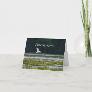 Great White Egret Flying Thinking Of You Card