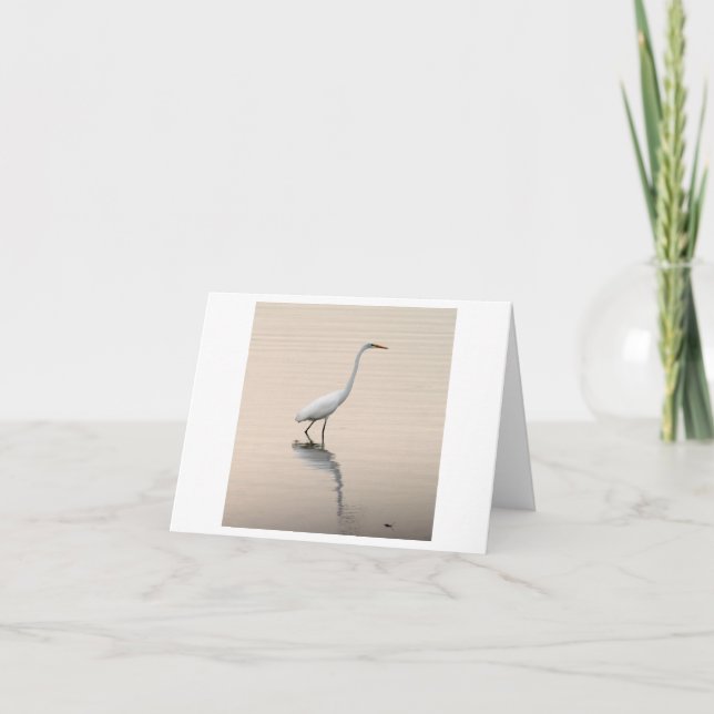 Great White Egret Folded Note Card (Front)