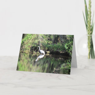 Great White Egret Greeting Card