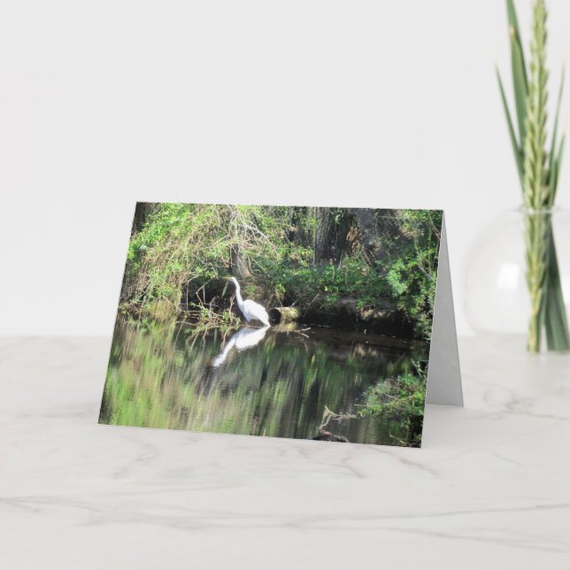 Great White Egret Greeting Card (Front)
