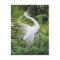 Great White Egret Love Dance