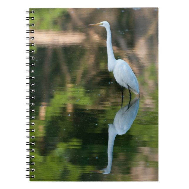Great White Egret Spiral Notebook (Front)
