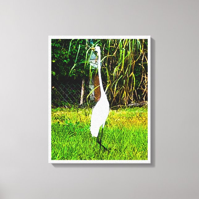 Great White Egret Stretched Canvas Print (Front)