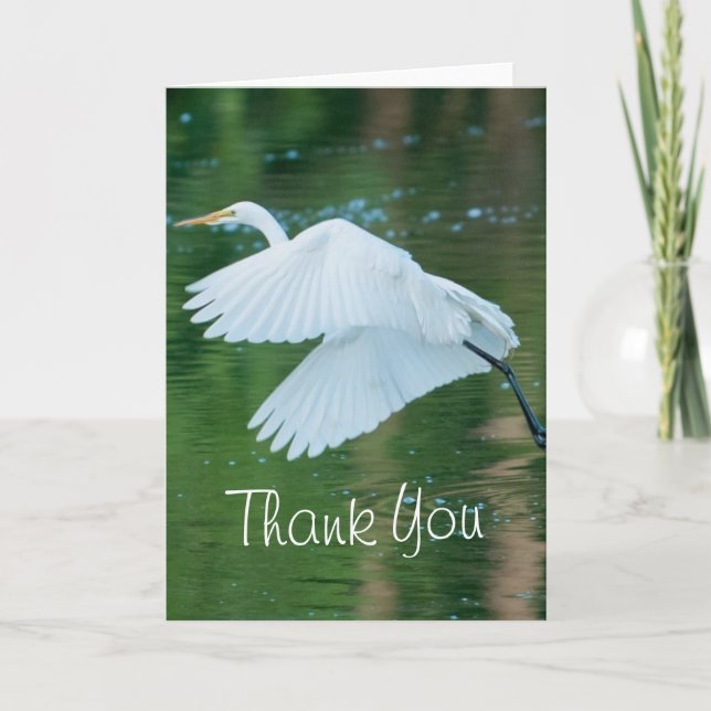 Great White Egret Thank You Card (Front)