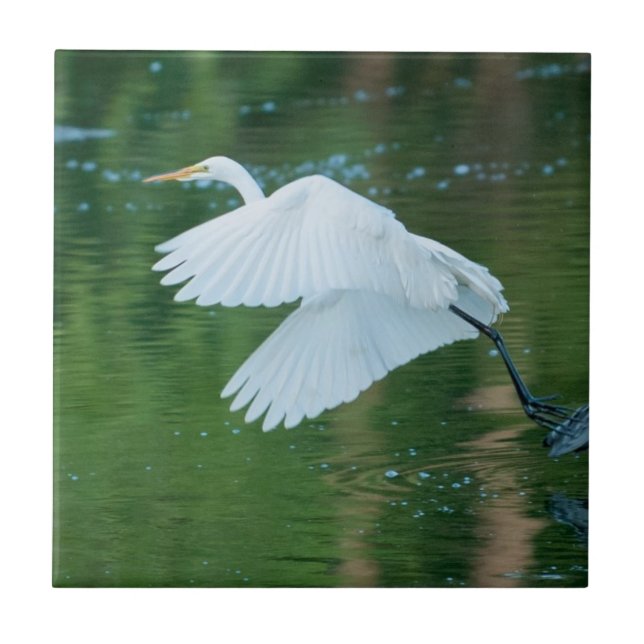 Great White Egret Tile (Front)