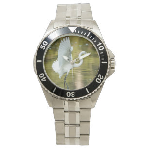 Great White Egret Watch