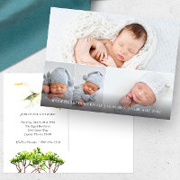 Great White Heron 4 Photo Birth Announcements