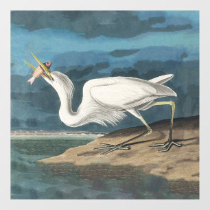 Great White Heron Audubon Bird Wildlife Painting