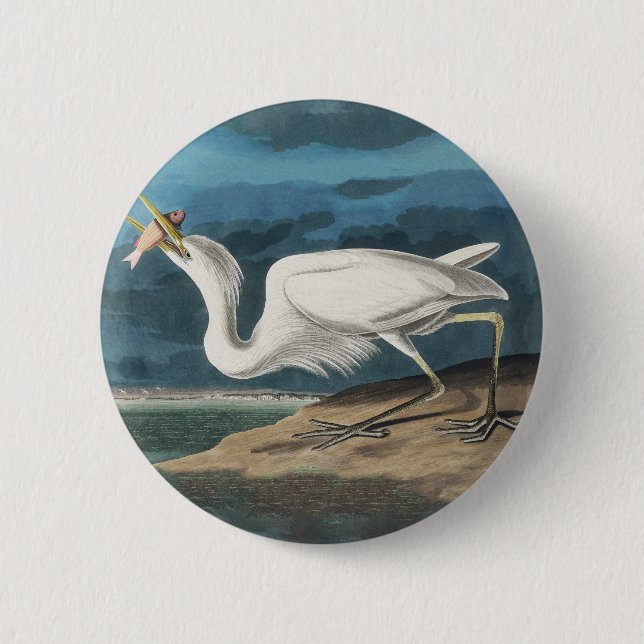 Great White Heron Audubon Bird Wildlife Painting 6 Cm Round Badge (Front)