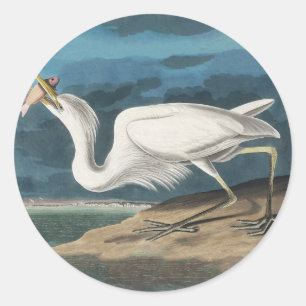 Great White Heron Audubon Bird Wildlife Painting Classic Round Sticker