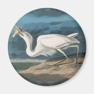 Great White Heron Audubon Bird Wildlife Painting Magnet