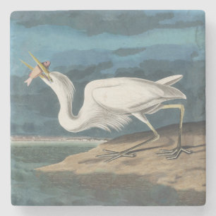 Great White Heron Audubon Bird Wildlife Painting Stone Coaster