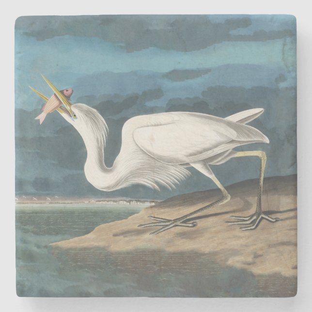 Great White Heron Audubon Bird Wildlife Painting Stone Coaster (Front)