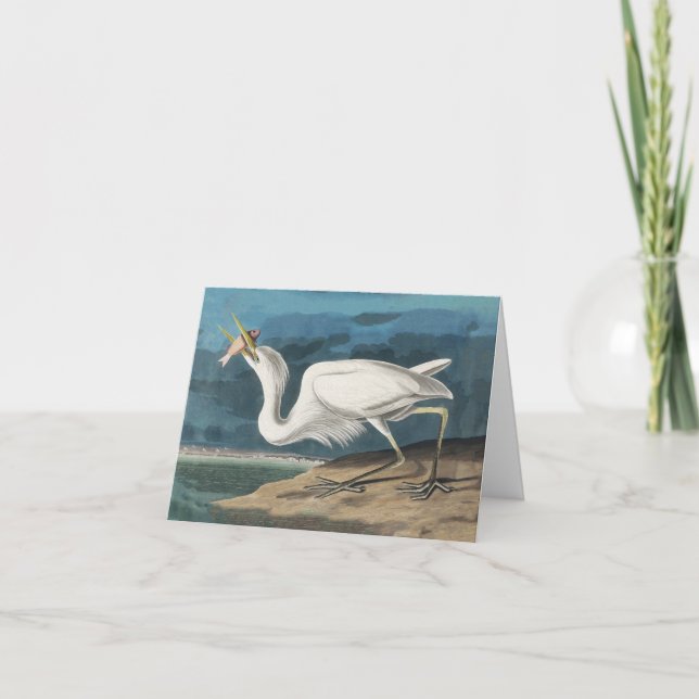 Great White Heron Audubon Bird Wildlife Painting Thank You Card (Front)