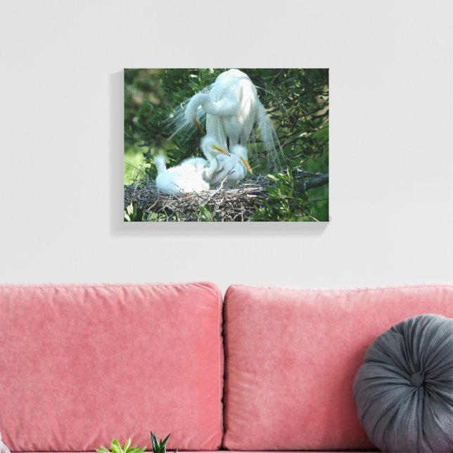 Great White Heron nesting Canvas Print (Insitu(LivingRoom))