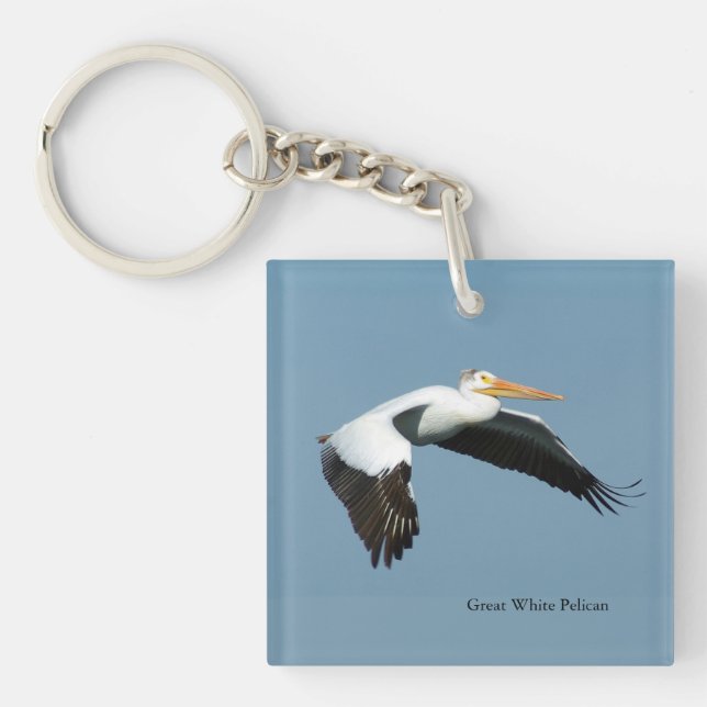 Great White Pelican acrylic key chain (Front)