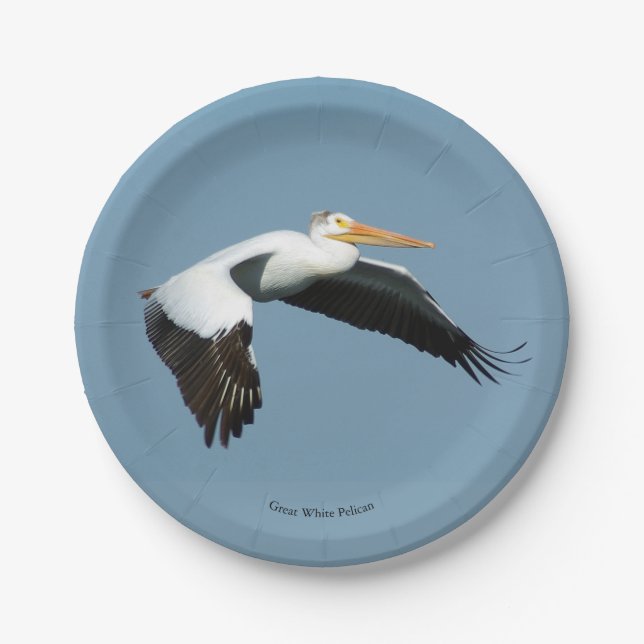 Great White Pelican paper plate (Front)