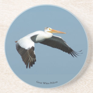 Great White Pelican sandstone coaster