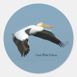 Great White Pelican sticker
