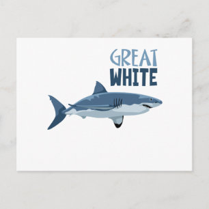 Great White Postcard