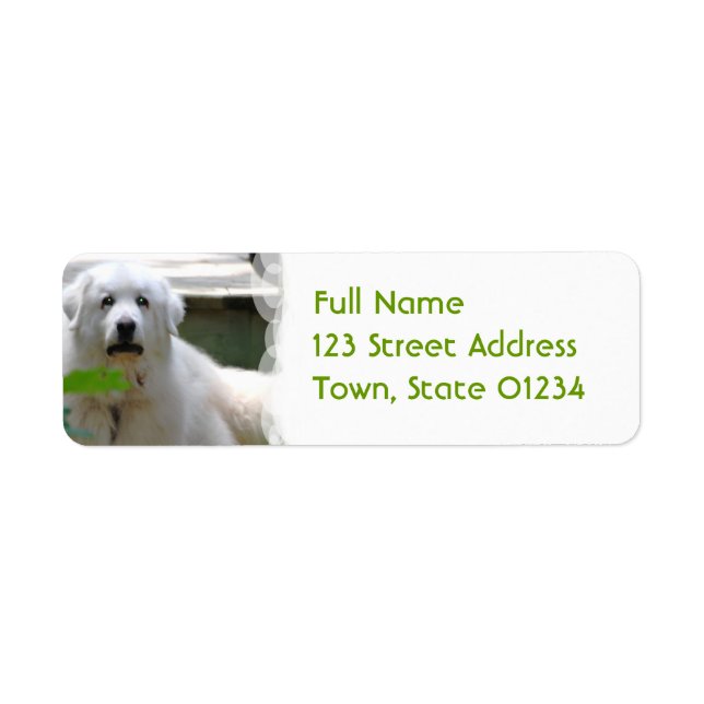 Great White Pyrenees Dog Return Address Labels (Front)