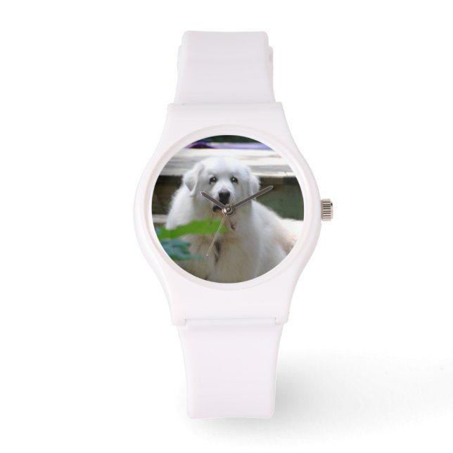 Great White Pyrenees Dog Watch (Front)