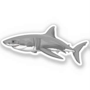 Great White Shark