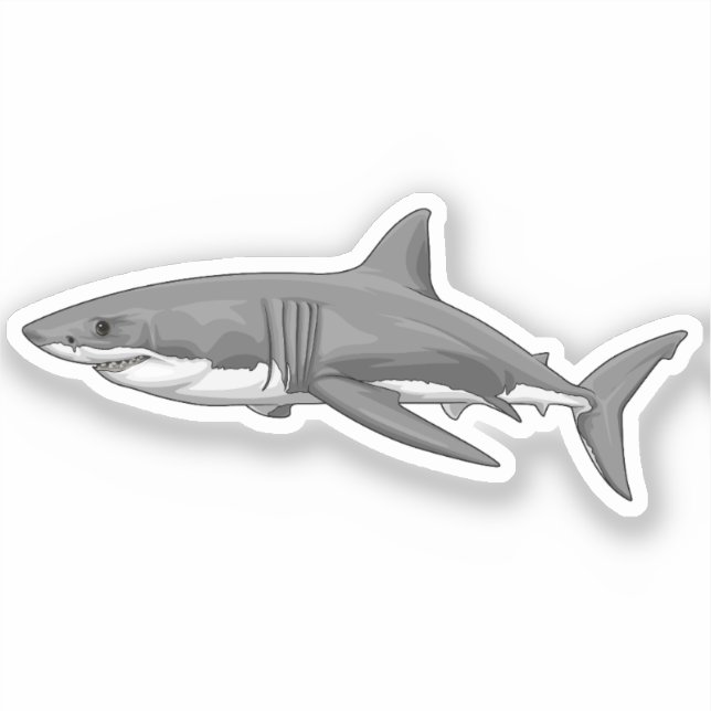 Great White Shark (Front)