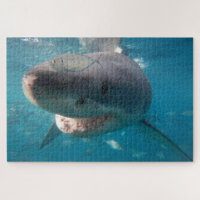 Great White Shark, 1014 pieces