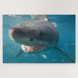 Great White Shark, 1014 pieces Jigsaw Puzzle