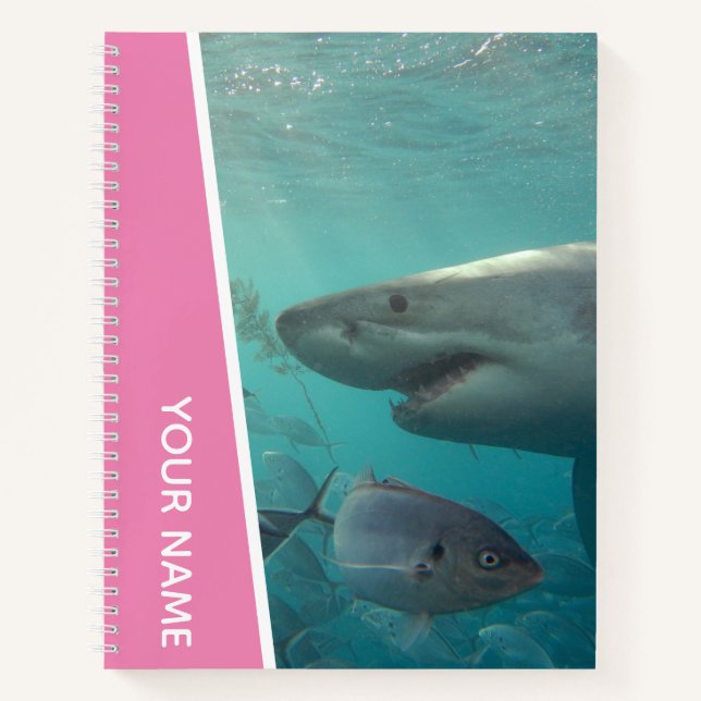 Great White Shark and Fish Australia, Pink Notebook (Front)