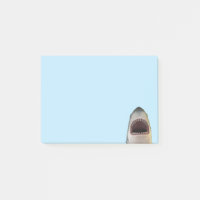 Great White Shark Attack
