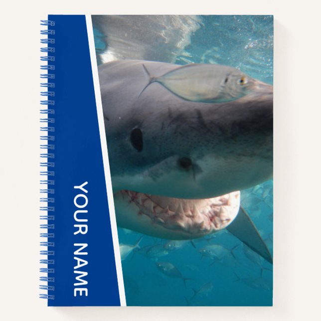 Great White Shark Australia Smile Teeth, Blue Boys Notebook (Front)