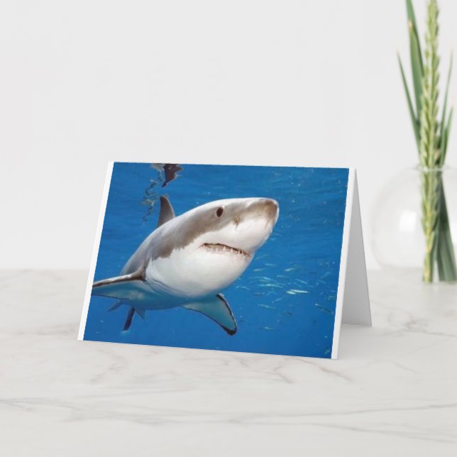 Great White Shark Card (Front)