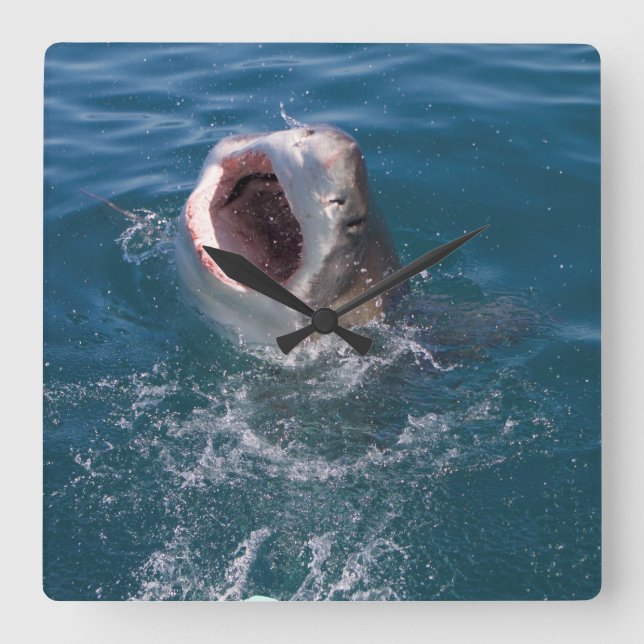 Great White Shark Clock (Front)