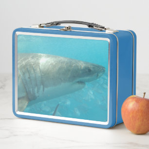 Great White Shark Close Up Portrait Sea Metal Lunch Box