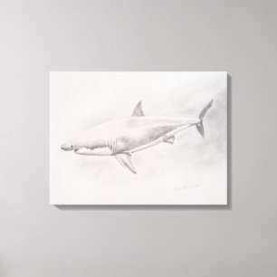 Great White Shark Drawing Canvas Print