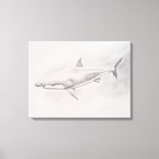 Great White Shark Drawing Canvas Print (Front)