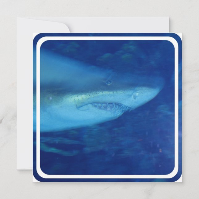 Great White Shark Invitation (Front)
